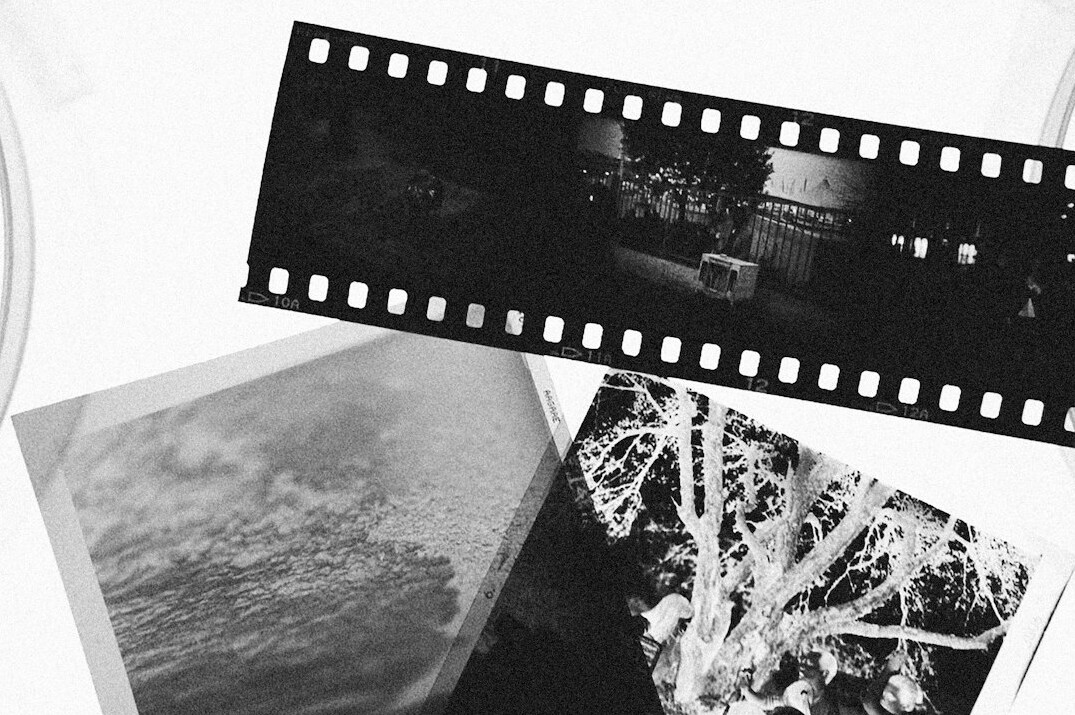 Contact sheet of black and white film negatives